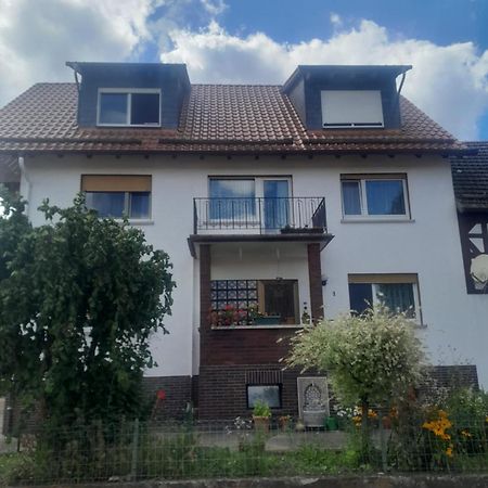 Zinimiri Apartman Freiensteinau Kültér fotó